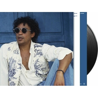 Laurent Voulzy - 21 souvenirs Vinyl 2 LP