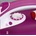 SEVERIN BA3243