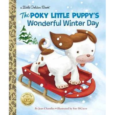 Poky Little Puppy's Wonderful Winter Day | Jean Chandler, Sue DiCicco
