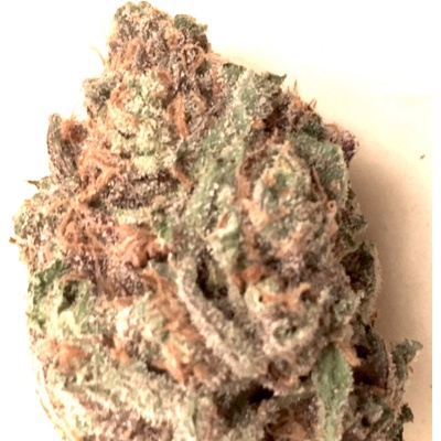 BSBs Cali Connection Skywalker Cookies semienka neobsahujú THC 1 ks