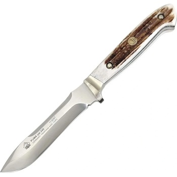 Puma pal 240