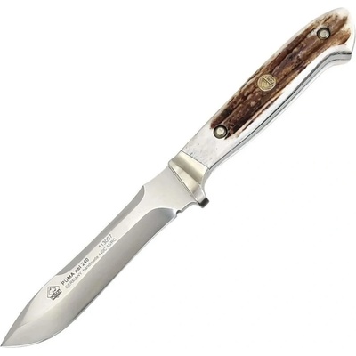 Puma pal 240