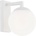 Argon 3733