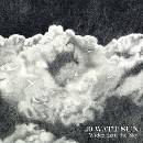Wider Than the Sky CD