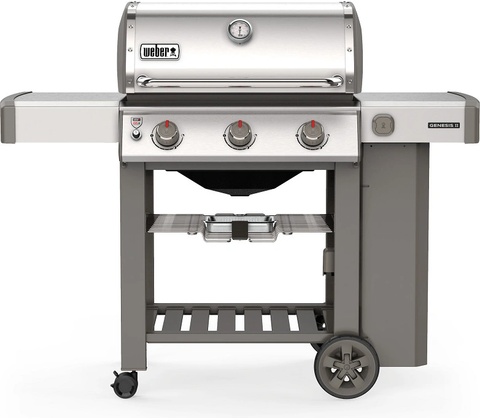 Weber Genesis II S-310