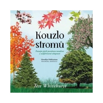 Kouzlo stromů