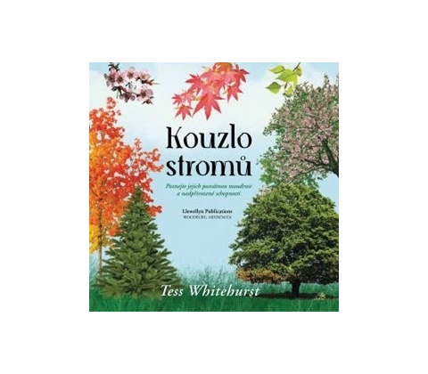 Kouzlo stromů