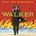Joe Walker Strummer 1 CD