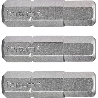 Fortum hrot imbus sada 3ks H 6x25mm S2 4741508