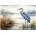 Trefl - Puzzle Puzzle Premium Plus: Blue Heron in the Wild - 1 000 piese