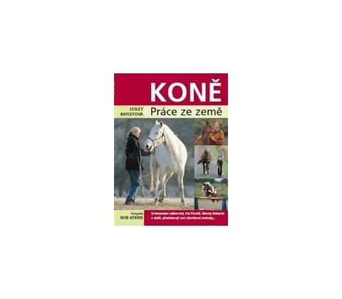 Koně