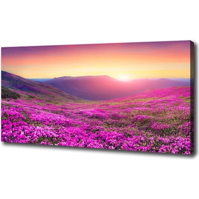 Foto obraz na plátne Ružové kopca 100x50 cm
