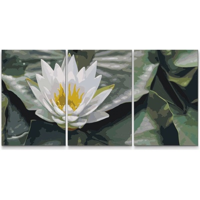Painting Queens Painting Queens Lotos symbol moudrosti sada 3 ks 40 x 60 cm bez rámu PBNSET/03LOTUSFLOWER/40 x 60_40 x 60_40 x 60/WO
