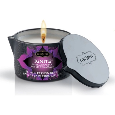JOYDIVISION Kama Sutra Ignite Massage Candle 170gr Berry