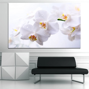 Vivid Home Декоративни панели Vivid Home от 1 част, Орхидея, PVC, 70x45 см, №0771