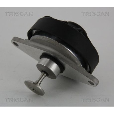 AGR-Ventil TRISCAN 8813 24202