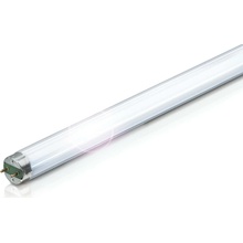 NBB LT 10W 4000K G13