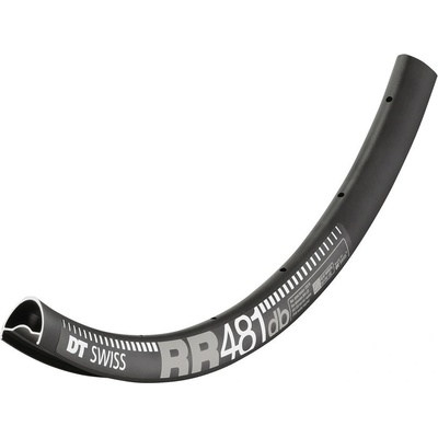 DT Swiss RR 481