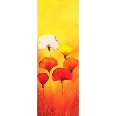 Máky na žlutém pozadí 1 1 deska 25x70
