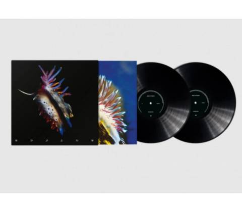 Sub Focus - Evolve LP