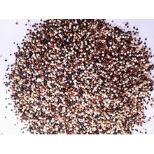 Prodejnabylin Quinoa trikolora 1 kg