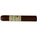 CAO Pilon Robusto