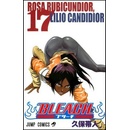 Bleach 17