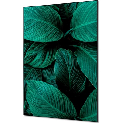 Jansen Display Textilní dekorace na zeď A1 Listy rostlin Zelená, 594 x 841 mm