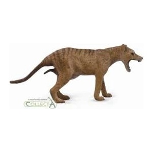 CollectA Baggy Wolf Figure - Tasmanian, Female (004-88767)