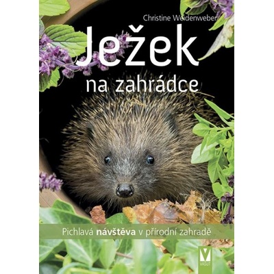 Ježek na zahrádce