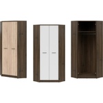 BRW Ъглов гардероб Nepo Plus - благороден дъб (S435-SZFN2D-BI)