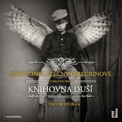 Sirotčinec slečny Peregrinové Knihovna duší