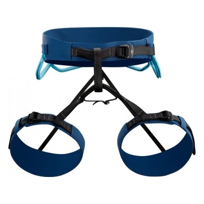 Arc'teryx AR 395 Harness
