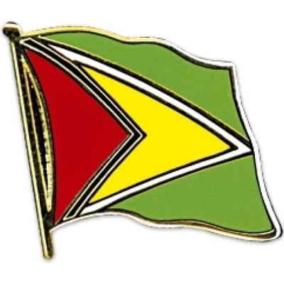 Odznak (pins) 20mm vlajka Guyana - farebný