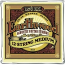 Ernie Ball 2012