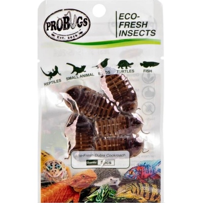 ProBugs Eco-Fresh Šváb argentinský 5 ks – Zbozi.Blesk.cz