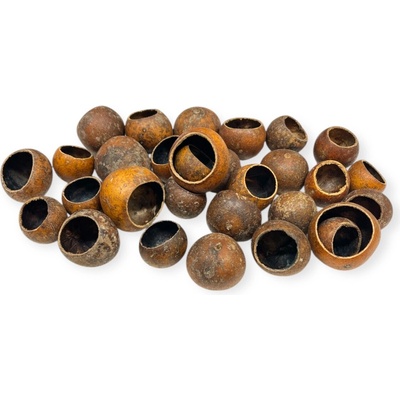 Sušené plody Bell Cup 4-5cm 130g - prírodné
