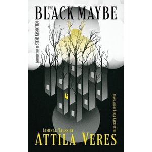 Black Maybe (ISBN: 9781954321700)