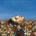 PINEAPPLE THIEF - MAGNOLIA CD