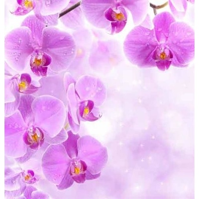IMPOL TRADE 149VE Vliesová fototapeta orchidea rozmer 312 cm x 219 cm
