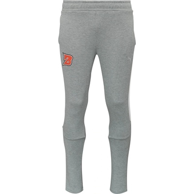 Puma Team Evostripe Pants sivá