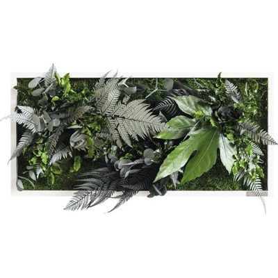 Obraz z rostlin styleGREEN Džungle 57x27cm