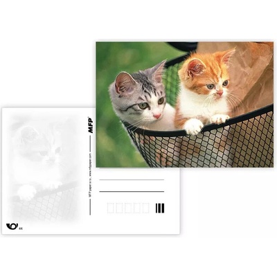 MFP paper s.r.o. Pohlednice - zvířata mix Koťata