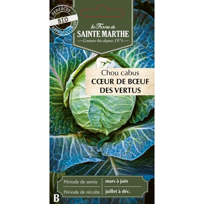 Kapusta "Cœur de Bœuf des Vertus" 1 bal.