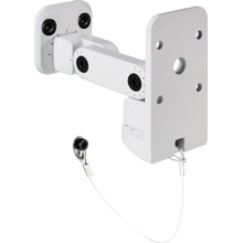 LD systems SATWMB10 W