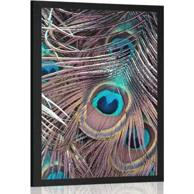 Plakát paví pírko - 30x45 no frame