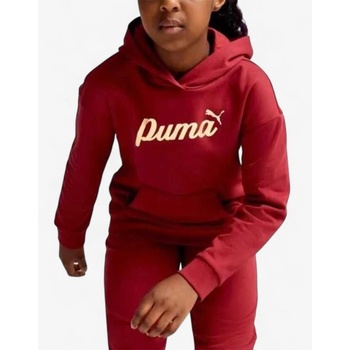 Image 1 of PUMA Essentials+ Script Metallic Hoodie Red