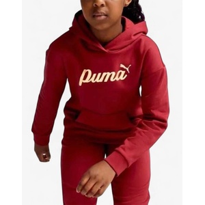 PUMA Essentials+ Script Metallic Hoodie Red - magazinko