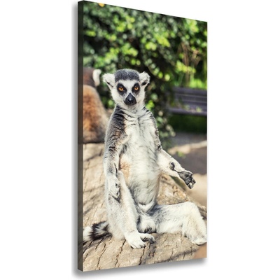 Vertikálny foto obraz tlačený na plátne Lemur 50x100 cm