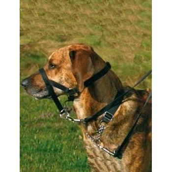 Trixie Top Trainer ohlávka proti táhnutí 37 cm L